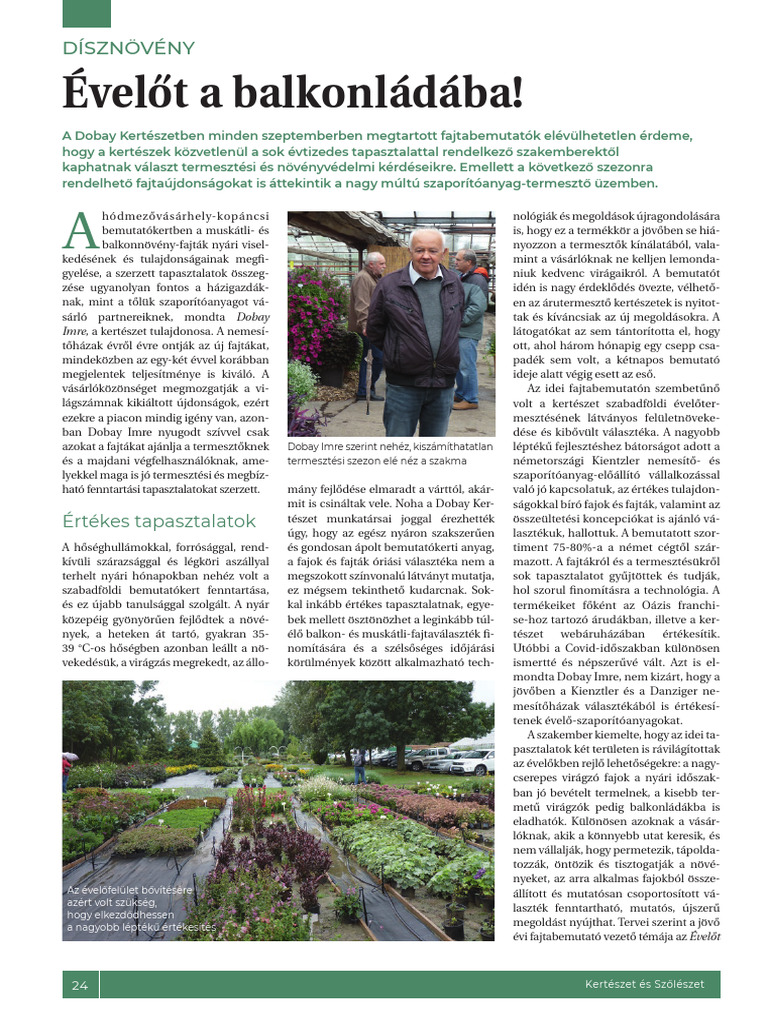 Dobay 22 | PDF