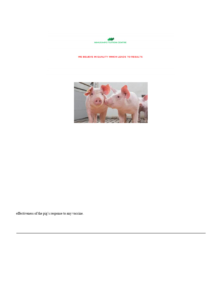 View of Pig Vaccination Schedule Manual | PDF | Pig | Immunology