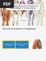 Variações e Anomalias Anatômicas | PDF | Anatomia | Humano