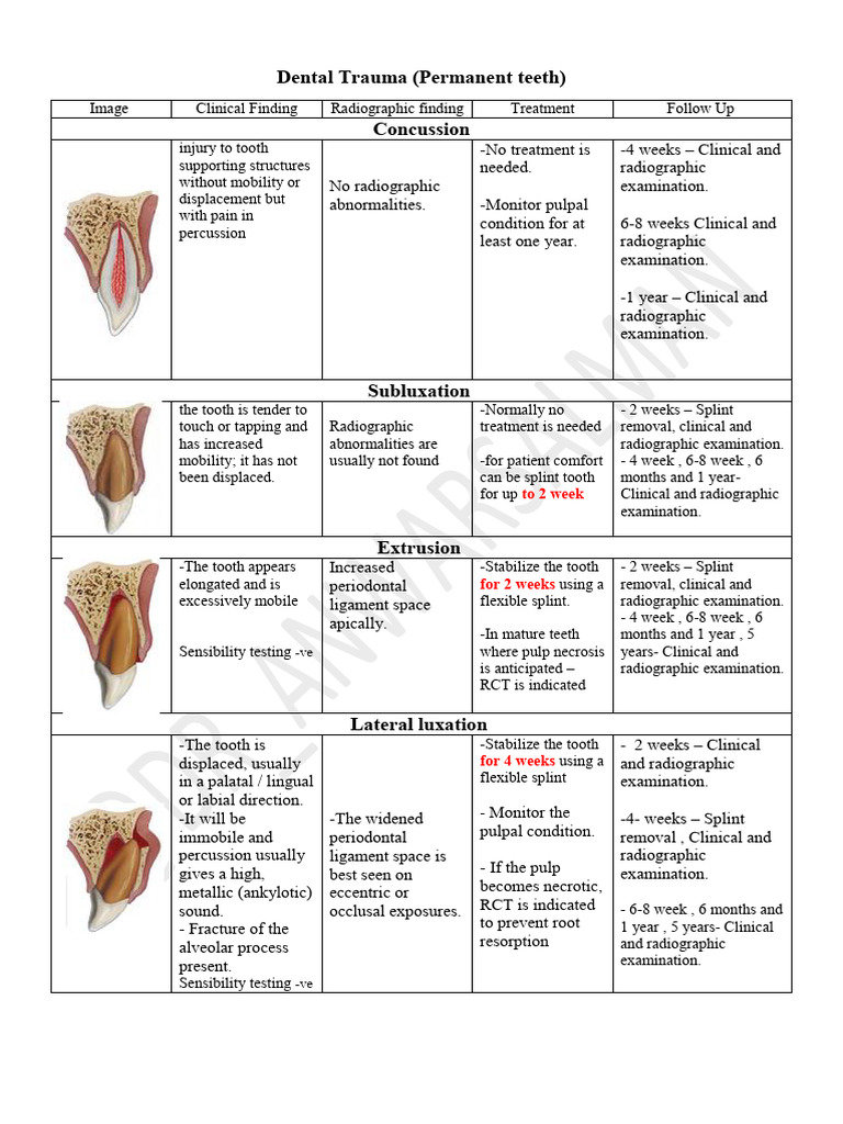 Dental Trauma Management for Permanent Teeth | PDF | Human Tooth | Mouth