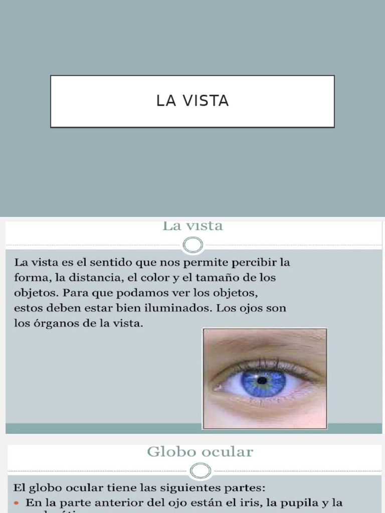 La Vista | PDF