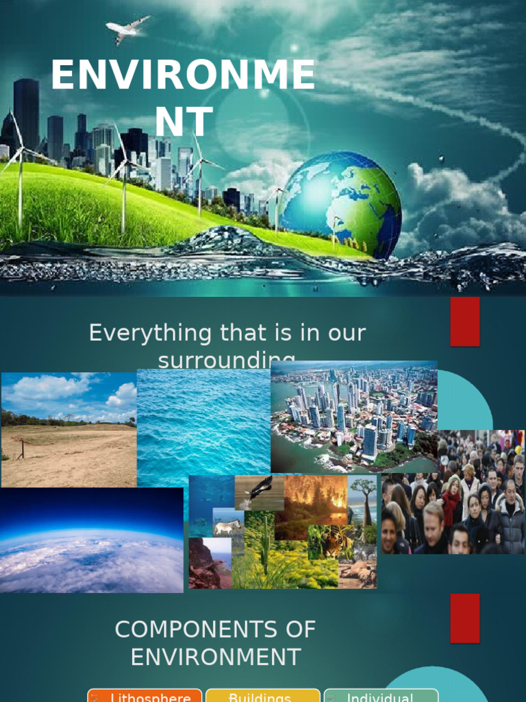Components of the Environment Explained | PDF