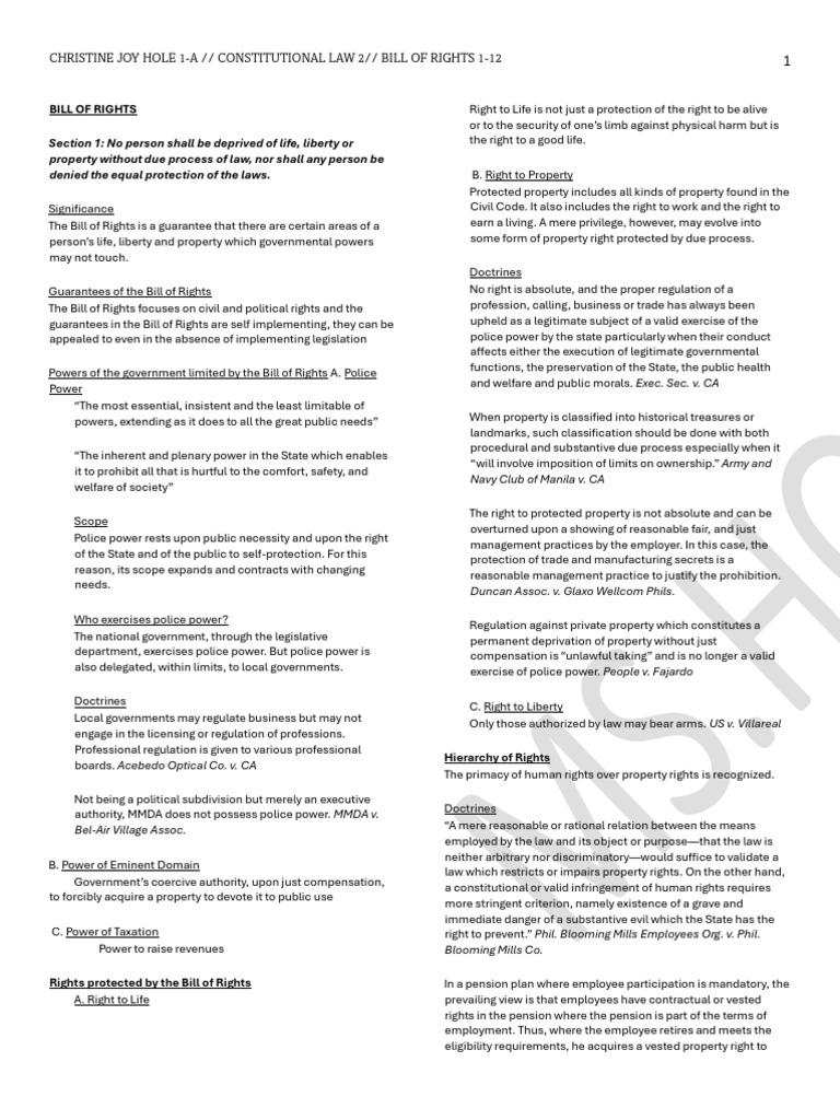 Overview of the Bill of Rights | PDF | Search And Seizure | Search Warrant
