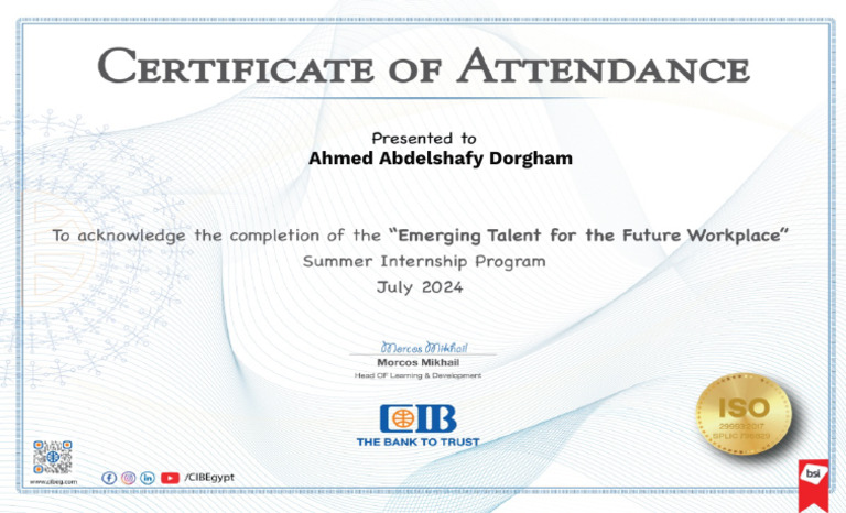 Ahmed Abdelshafy Dorgham Profile Pdf
