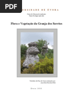 Flora e Vegetacao Granja Dos Serroes