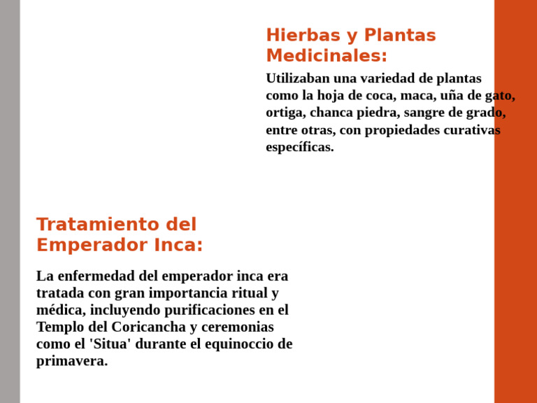 Tratamiento Inca y Plantas Medicinales | PDF