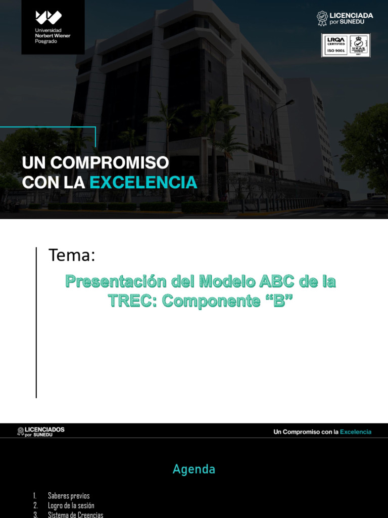 S09 - Presentación Del Modelo Abc - Componente B - 2025 | PDF | Terapia ...