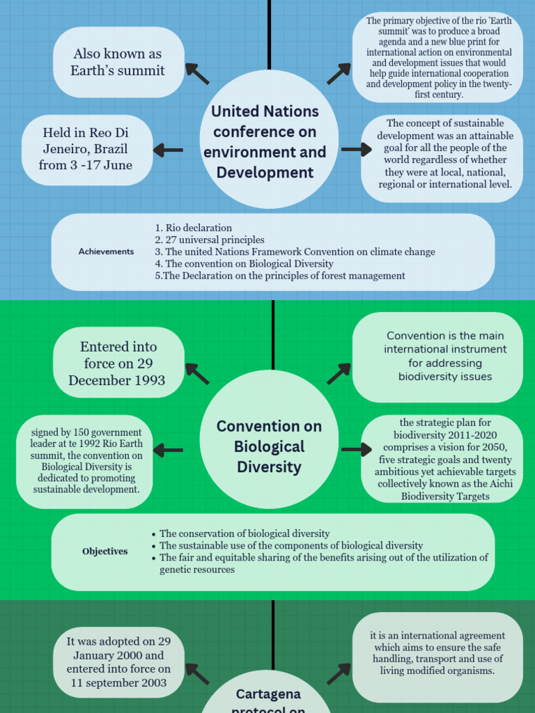 Rio Earth Summit: Sustainable Development Goals | PDF | Biodiversity ...