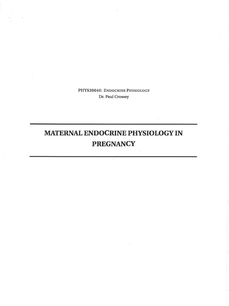 A+ Essay | PDF