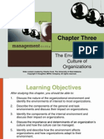 Chapter Three: The Environment and Culture of Organizations