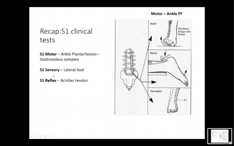 Screenshot 2025-04-25 at 5.16.46 PM | PDF