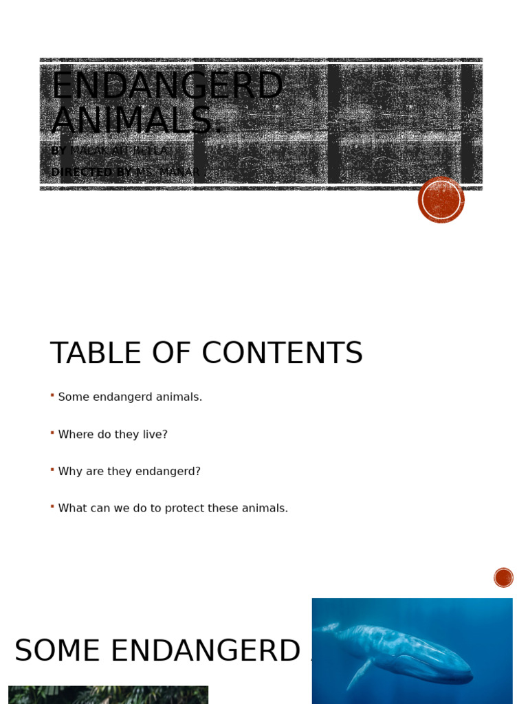Endangered Animals: Causes and Solutions | PDF