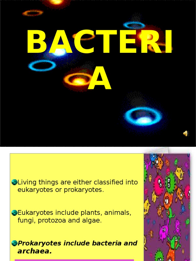 Bacteria | PDF | Staining | Bacteria