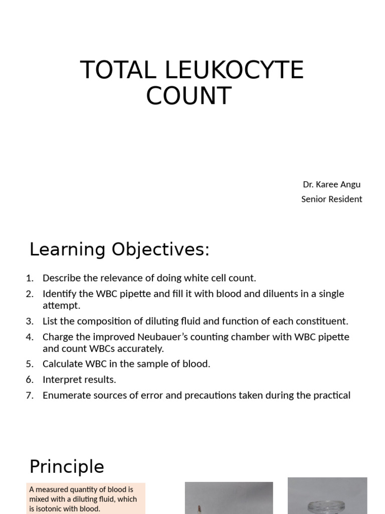 WBC Count Procedure and Interpretation | PDF | White Blood Cell | Staining
