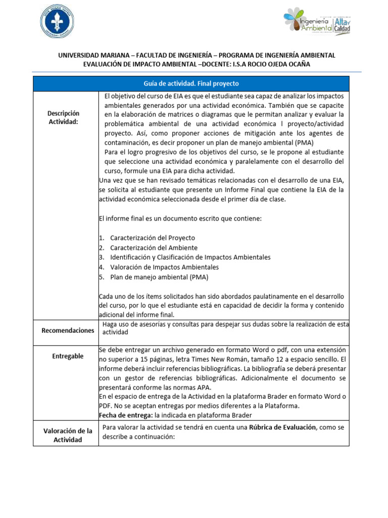 Guía para Informe de EIA en Ingeniería | PDF | Evaluación de impacto ...