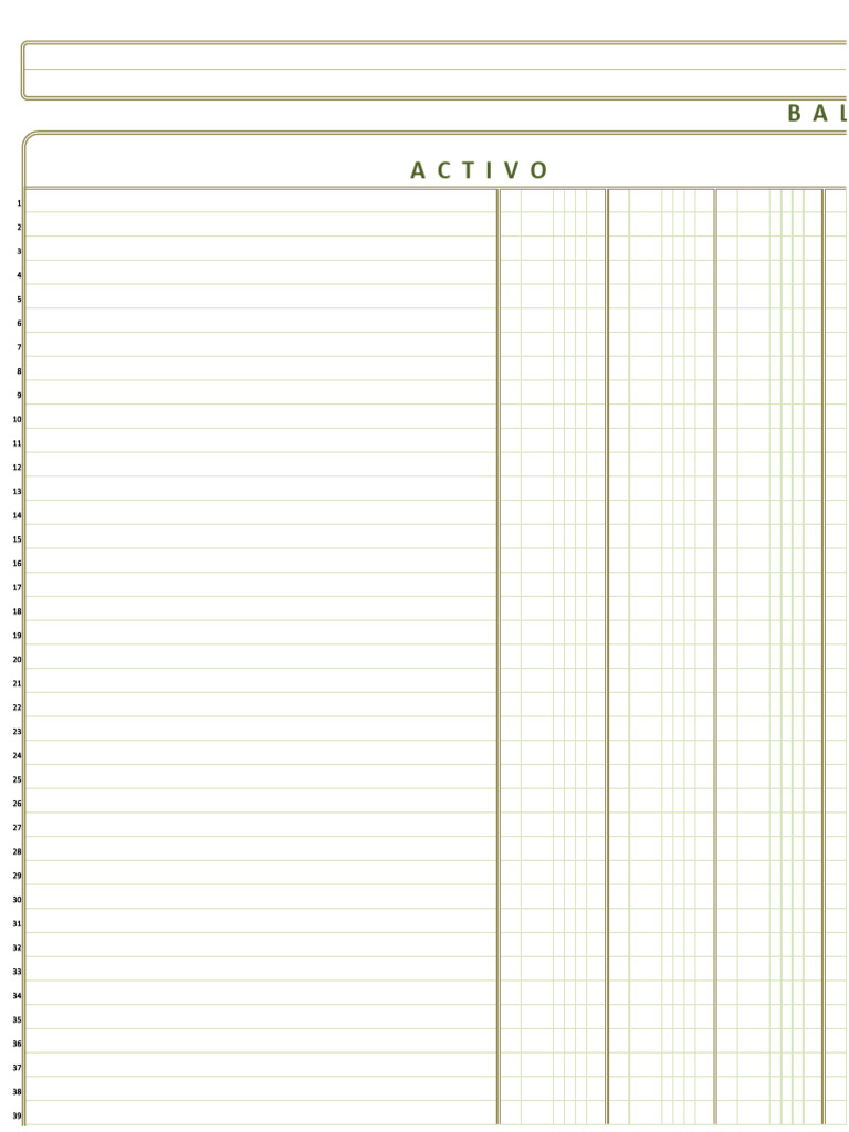 Formato de Balance General en Forma de Reporte | PDF