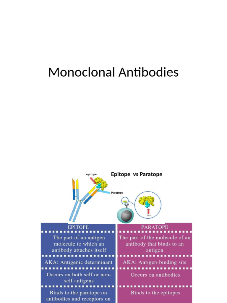 Monoclonal Antibodies Overview and Engineering | PDF | Antibody ...