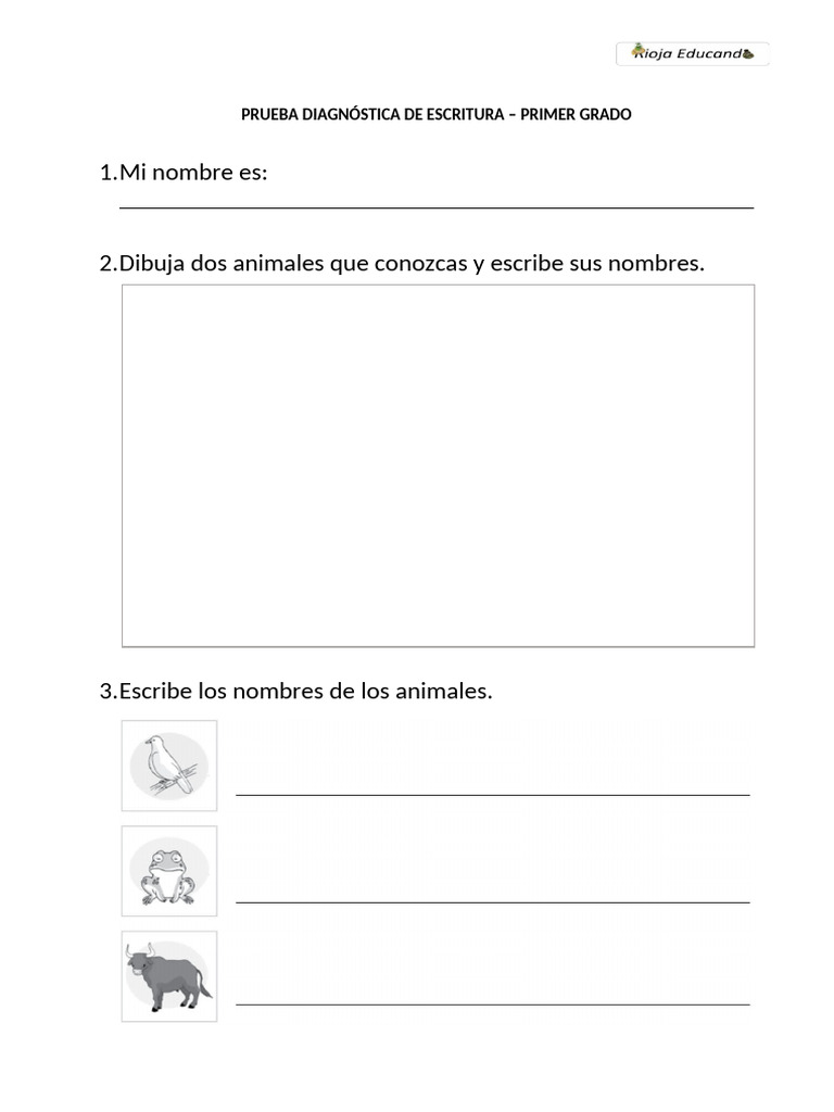 Escritura 1 Prueba Pdf