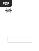 APANPIRG Framework | PDF | Computing | Aviation