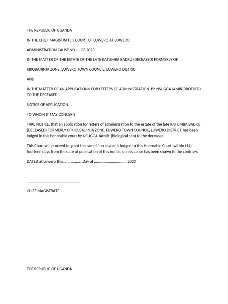 Application for Letters of Administration | PDF | Probate | Justice