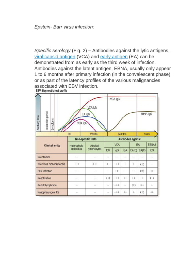 Serology of EB Virus Inf. | PDF