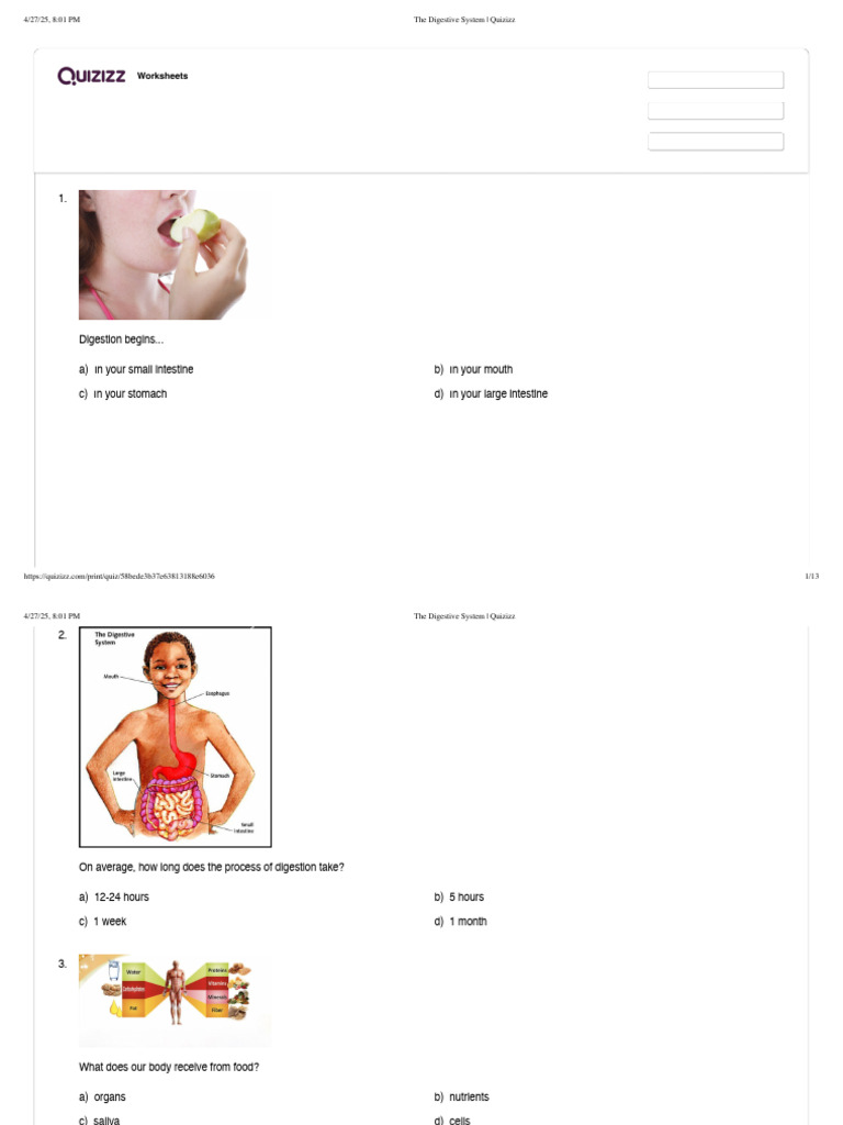 The digestive system quizizz pdf human digestive system digestion