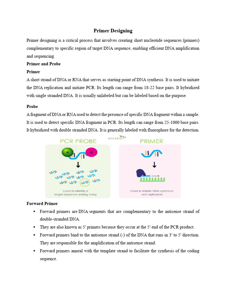 Primer Designing | PDF | Primer (Molecular Biology) | Sense (Molecular ...