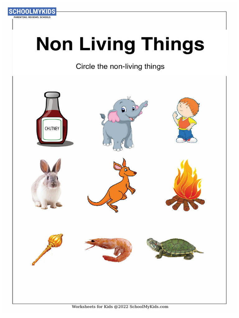 UKG Sorting Worksheet Guide | PDF