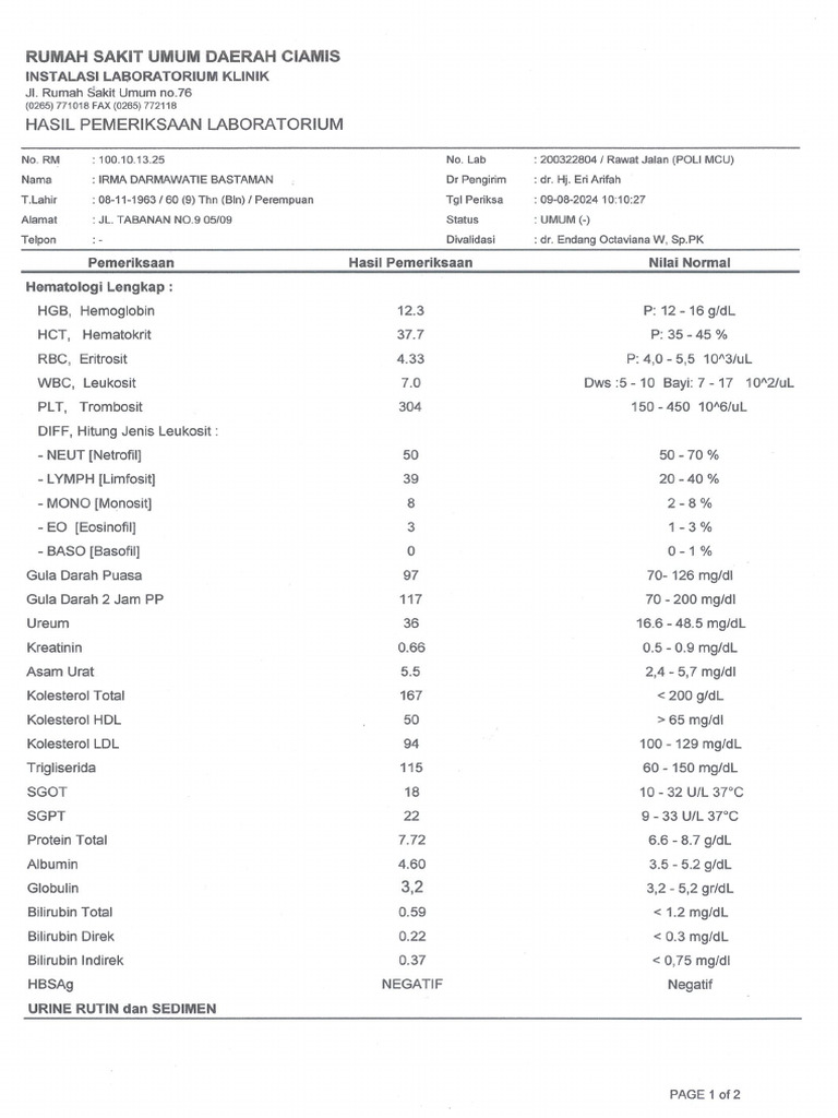 Hasil Pemeriksaan LAB | PDF