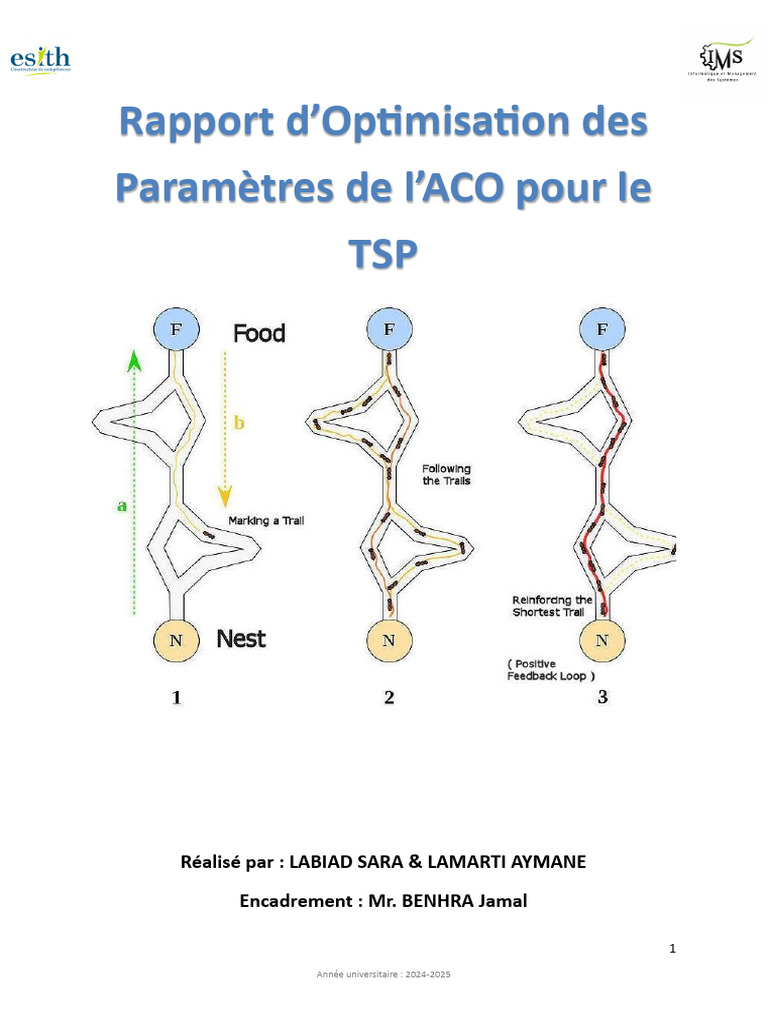 Optimisation ACO pour le TSP et VRP | PDF | Informatique | Informatique