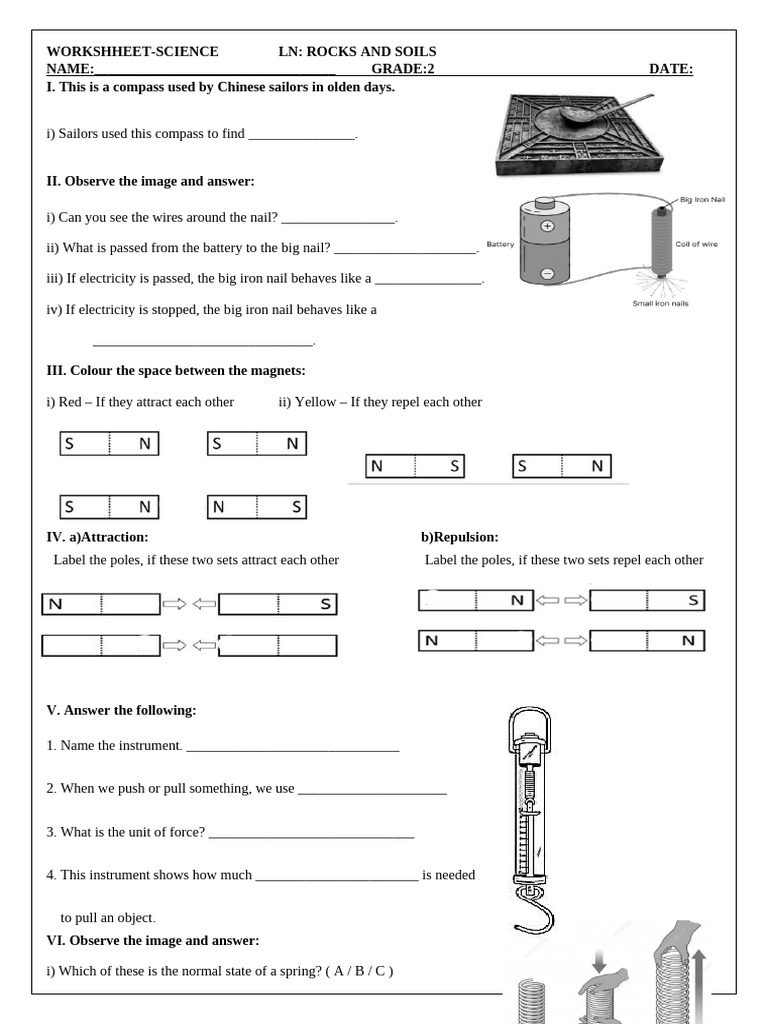 Grade 2 Science Worksheet: Forces & Magnets | PDF | Magnet | Force
