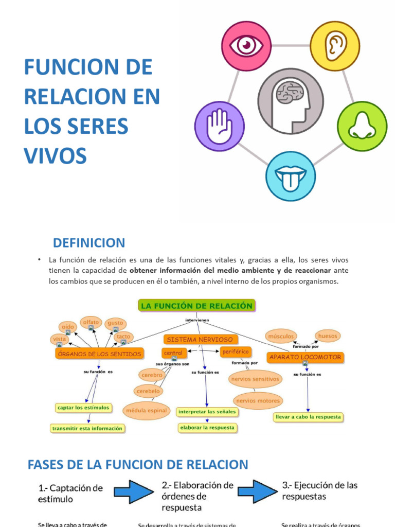 Funcion de Relacion - 055729 | PDF