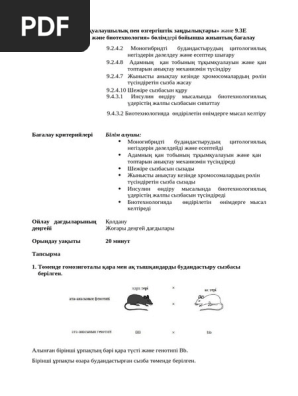 Кішкентай салбыраған сиськи порно