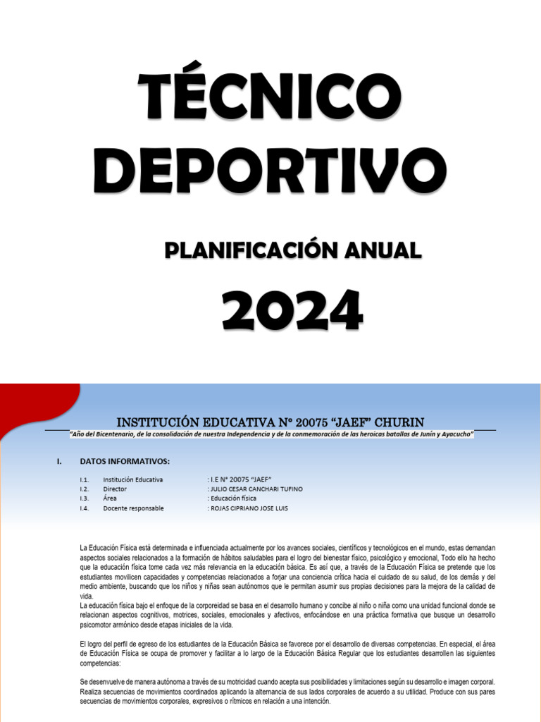 Planificacion Anual 2024 20075 Jaef | PDF | Evaluación | Educación Física