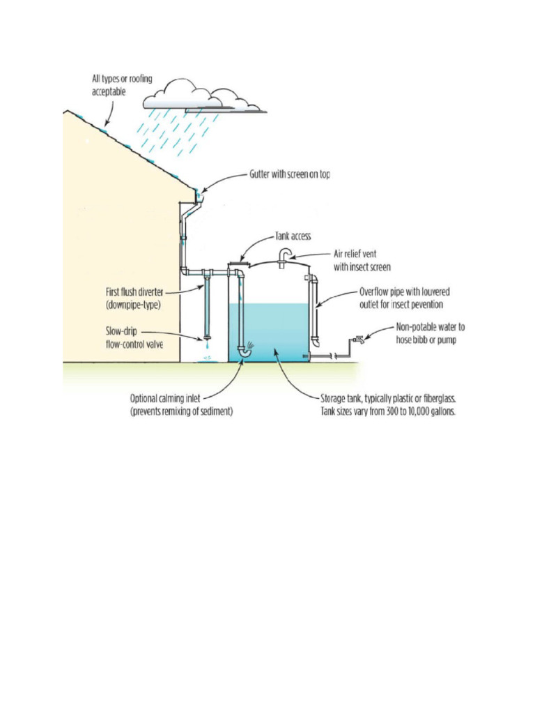 Rwhs | PDF