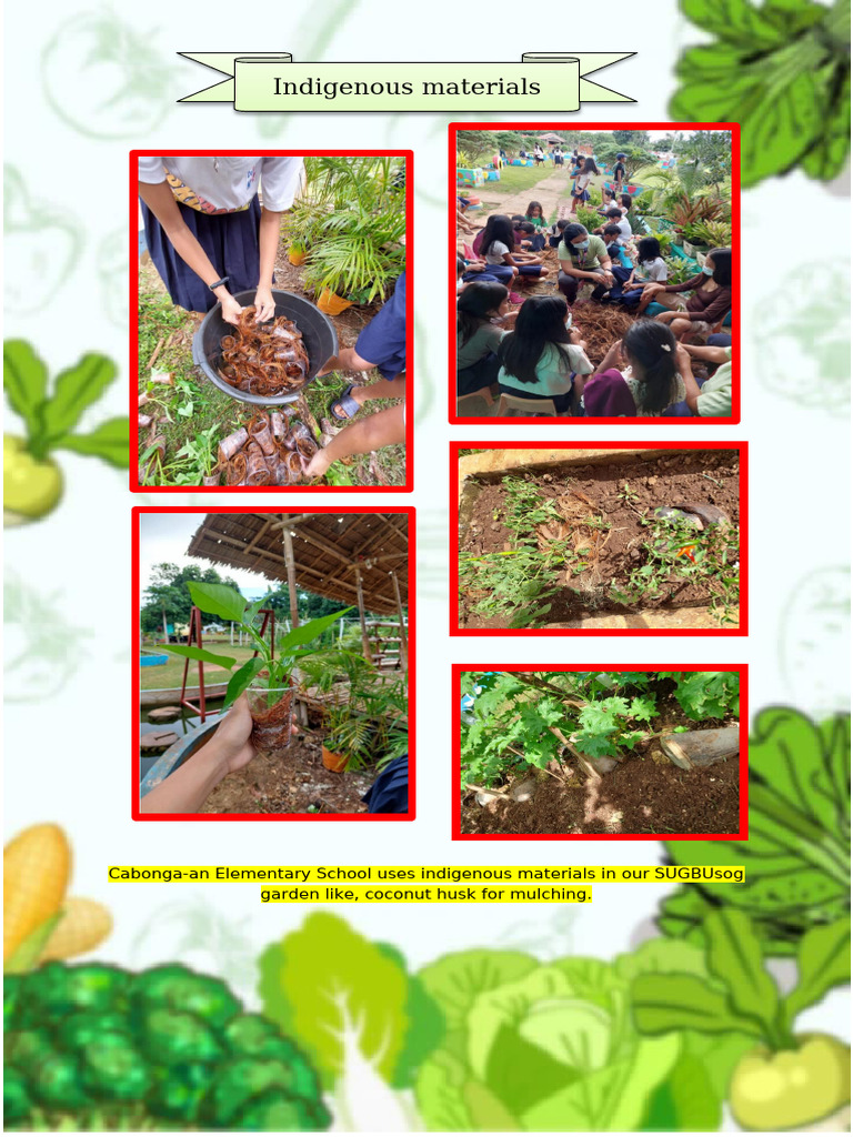 Indigenous & Recycled Materials in School Garden | PDF