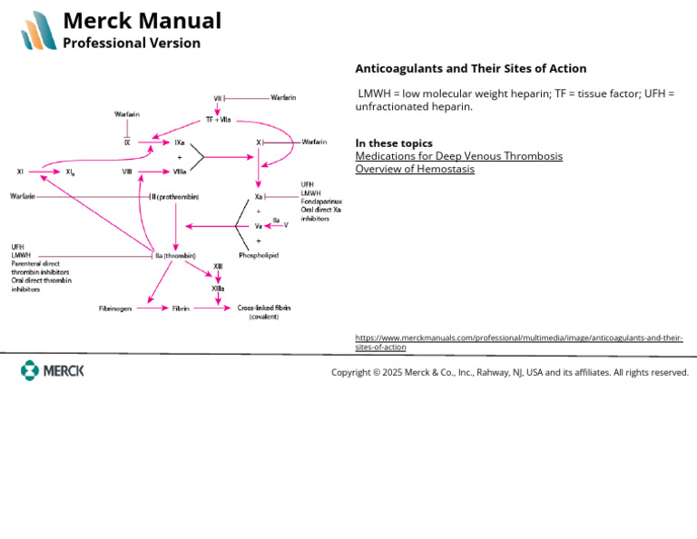 Anticoagulants and Their Sites of Action | PDF