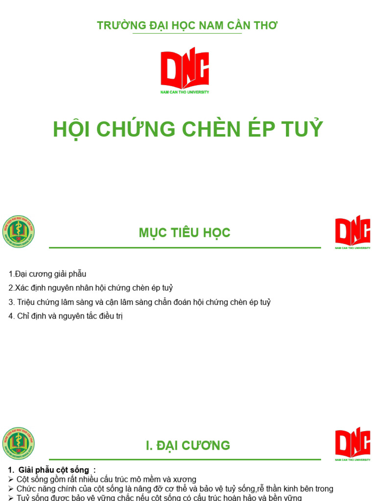 HC Chèn Ép Tuỷ | PDF