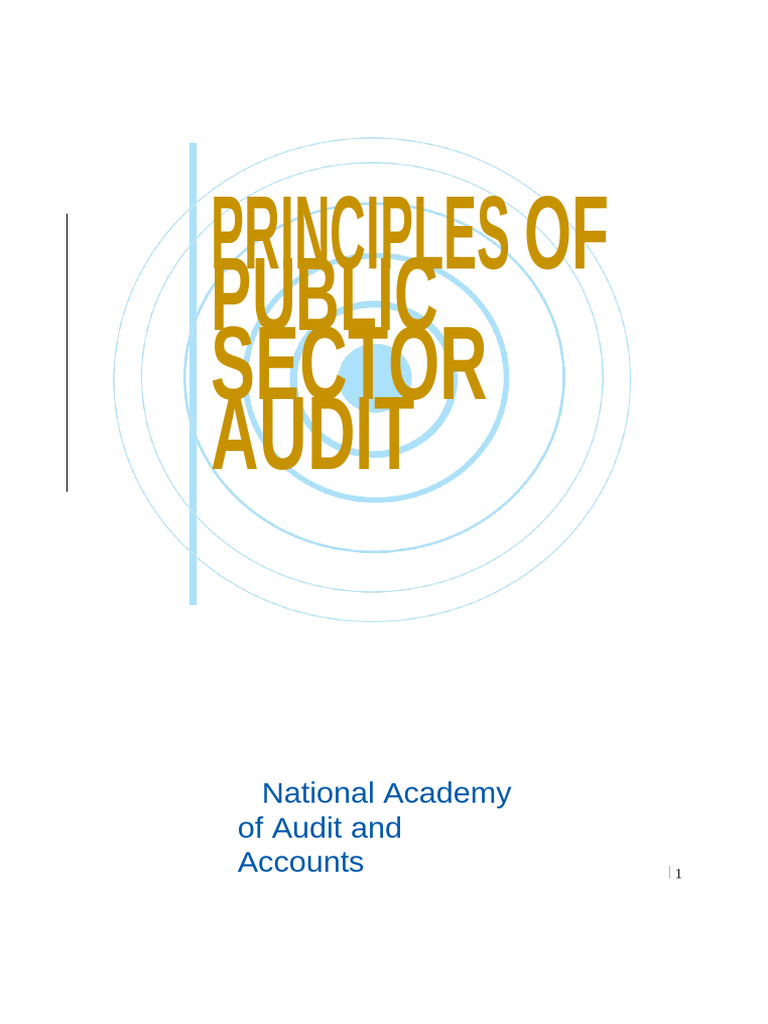 Principles of Public Sector Audit | PDF | Audit | Internal Audit