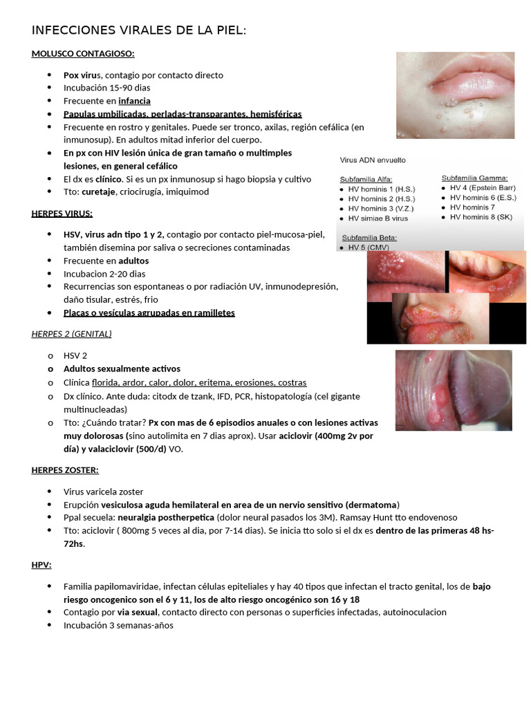 Vesícula Perlada en Infecciones Cutáneas | PDF | Enfermedades y ...