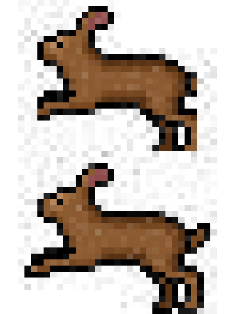 Rabbit Hop | PDF
