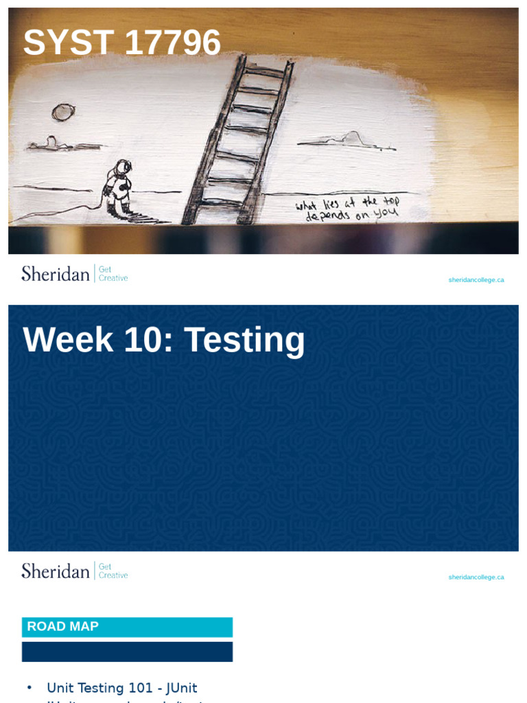 Week 10 - Testing | PDF | Unit Testing | Software Testing