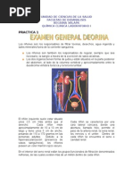 Download ego II by QUIMICO CLINICO WILLIANS SANCHEZ SN8550562 doc pdf