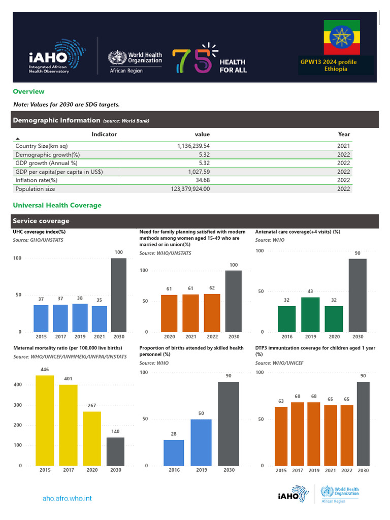 Ethiopia Profile 2024 | PDF | Malaria | Public Health