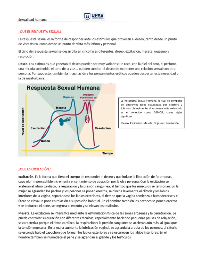 Fases de la Respuesta Sexual Humana | PDF | La sexualidad humana | Orgasmo