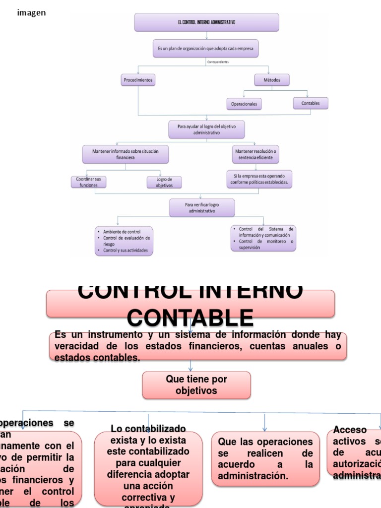 Control Interno Contable en Empresas | PDF | Estado financiero | Economias