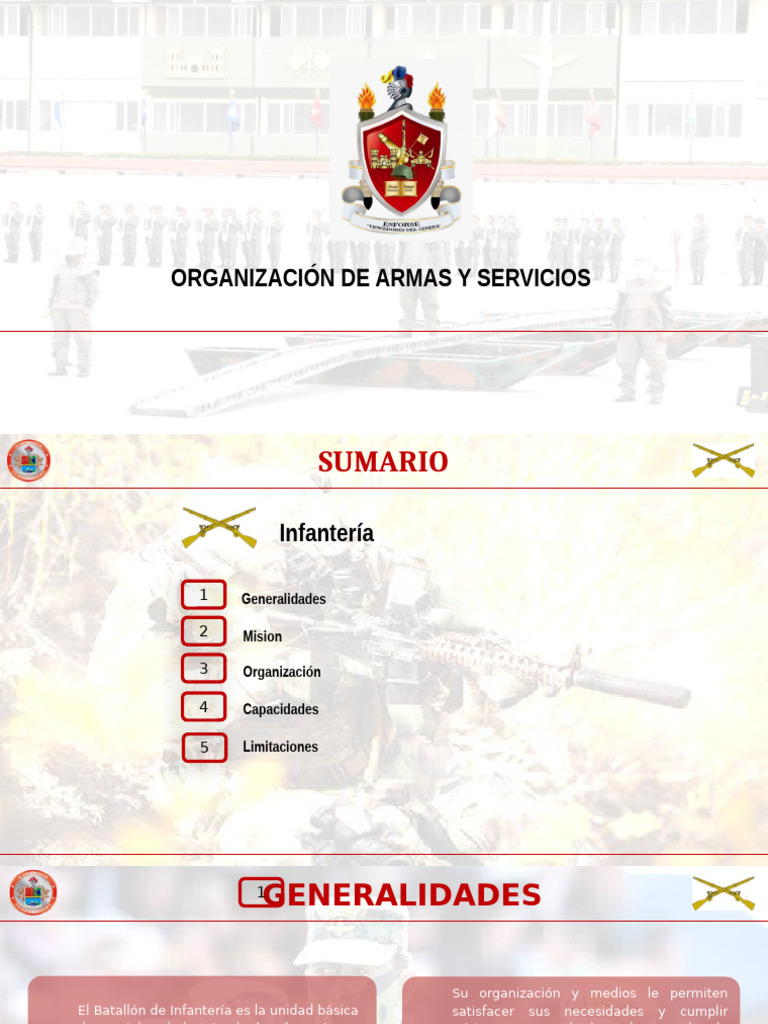 OAS Infanteria | PDF | Infantería | Batallón