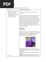 Guía: Indicador de pH con Repollo | PDF | Ácido | Sal (química)