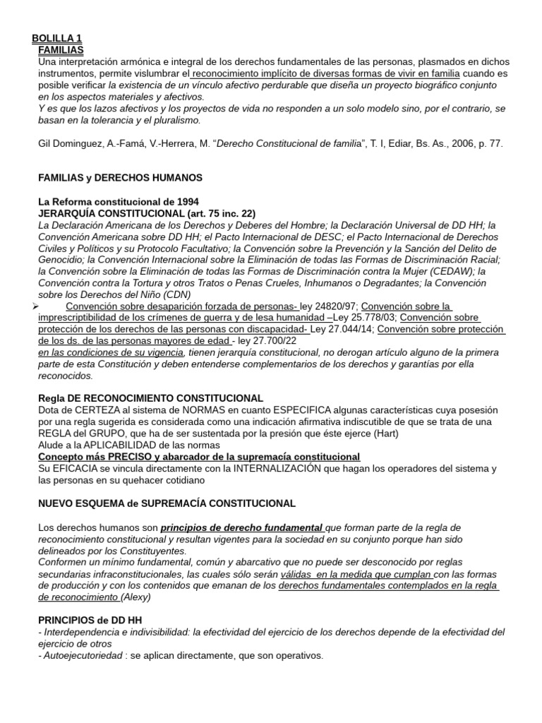 BOLILLA 1 y 2 FAMILIA | PDF | Convenio europeo de derechos humanos ...