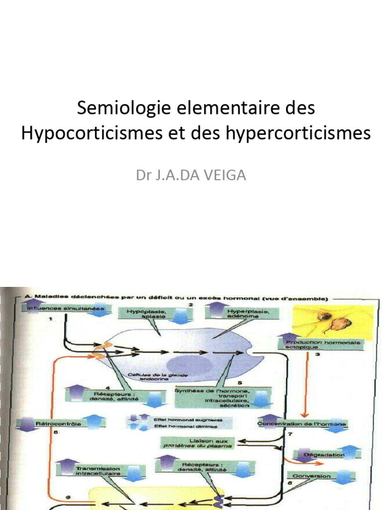Hypocorticisme et Hypercorticisme | PDF | Cortisol | Système endocrinien